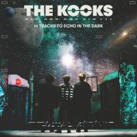 Виниловая пластинка The Kooks -  10 Tracks To Echo In The Dark (Limited Transparent Vinyl LP)