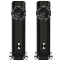 Напольная акустика Fyne Audio F1.10 Piano Gloss Black