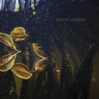 Виниловая пластинка Placid Angles - Touch The Earth (Black Vinyl 3LP)