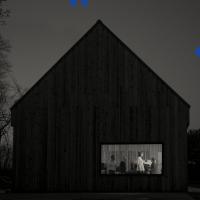 Виниловая пластинка The National - Sleep Well Beast (Coloured Vinyl 2LP)