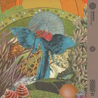 Виниловая пластинка SofaTalk - The Soul's Code (Black Vinyl LP)