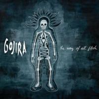 Виниловая пластинка Gojira - The Way Of All Flesh (Coloured Vinyl 2LP)