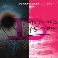 Виниловая пластинка Duran Duran - All You Need Is Now (Black Vinyl 2LP)