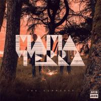 Виниловая пластинка Mama Terra - The Summoned (Black Vinyl LP)