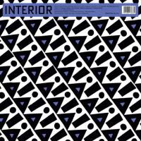 Виниловая пластинка Interior - Interior (Black Vinyl LP)