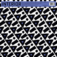 Виниловая пластинка Interior - Interior (Black Vinyl LP)