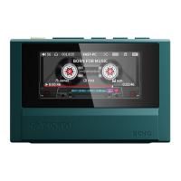 Портативный MP3-плеер FiiO Snowsky Echo 4Гб (F4402E) Green