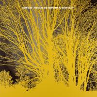 Виниловая пластинка Nada Surf -  The Stars Are Indifferent To Astronomy (Black Vinyl LP)