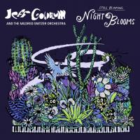 Виниловая пластинка Jeff Goldblum - Night Blooms (Black Vinyl LP)