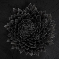 Виниловая пластинка Jonsi - Obsidian (Black Gold Galaxy Vinyl 2LP)