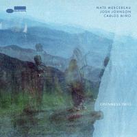 Виниловая пластинка Nate Mercereau, Johnson, Josh; Nino, Carlos - Openness Trio (Black Vinyl LP)
