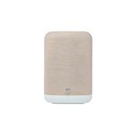 Беспроводная акустика Bluesound PULSE FLEX (P130) White/Tan