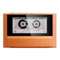 Портативный MP3-плеер FiiO SNOWSKY Echo 4Гб (F4402E) Orange