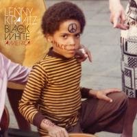 Виниловая пластинка Lenny Kravitz - Black And White America (Black Vinyl 2LP)