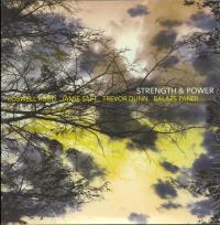 Виниловая пластинка Roswell Rudd, Saft, Jamie; Dunn, Trevor; Pandi, Balazs - Strength And Power (Black Vinyl LP)