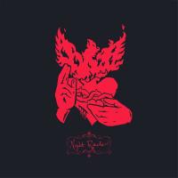 Виниловая пластинка Crippled Black Phoenix - Night Raider (Black Vinyl 2LP)