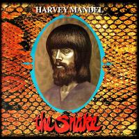 Виниловая пластинка Harvey Mandel - The Snake (Turquoise Vinyl LP)