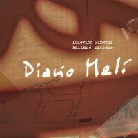 Виниловая пластинка Ludovico Einaudi; Sissoko, Ballake - Diario Mali (Black Vinyl LP)
