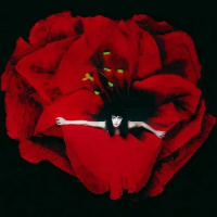 Виниловая пластинка The Smashing Pumpkins -  Adore (Black Vinyl 2LP)