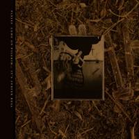Виниловая пластинка Pixies - Come On Pilgrim...It's Surfer Rosa (Gold Vinyl 3LP)