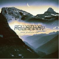 Виниловая пластинка Sometime In February -  Where Mountains Hide (Black Vinyl LP)