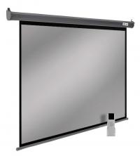 Экран Cactus SIlverMotoExpert CS-PSSME-220x138-DG