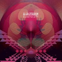 Виниловая пластинка A Sagittariun - Elasticity (Black Vinyl 2LP)