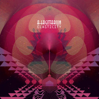 Виниловая пластинка A Sagittariun - Elasticity (Black Vinyl 2LP)