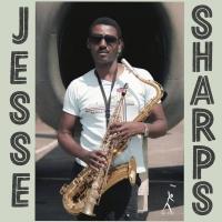 Виниловая пластинка Jesse Sharps - Sharps And Flats (Audiophile Edition) (Black Vinyl LP)