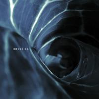 Виниловая пластинка Spin Marvel - Infolding (Black Vinyl LP)