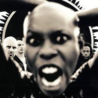 Виниловая пластинка Skunk Anansie -  Stoosh (Black Vinyl LP)
