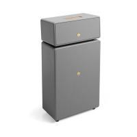 Мультирум акустика Audio Pro Drumfire II grey