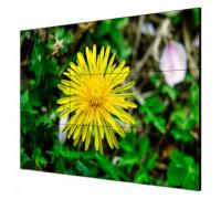 LCD-экран Hikvision DS-D2055LE-G (302504802)