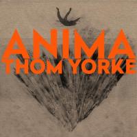 Виниловая пластинка Thom Yorke - Anima (Black Vinyl 2LP)