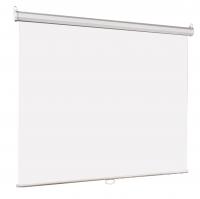 Настенный экран Lumien [LEP-100106] Eco Picture 127х127см (рабочая область 121х121 см) Matte White