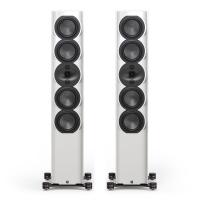 Напольная акустика Perlisten Audio R7t Piano white