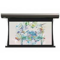 Экран Lumien Cinema Tensioned Control 186x317 см (раб.область 166х295 см) (133") Matte White (чёрный корпус) LCTC-100112