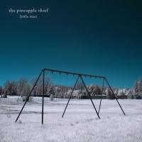 Виниловая пластинка The Pineapple Thief - Little Man (Black Vinyl 2LP)