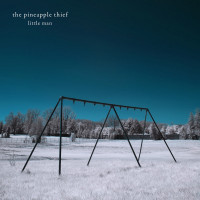 Виниловая пластинка The Pineapple Thief - Little Man (Black Vinyl 2LP)