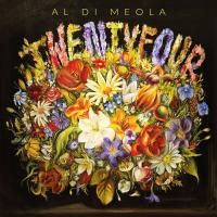 Виниловая пластинка Al Di Meola - Twentyfour (Black Vinyl 2LP)