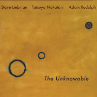 Виниловая пластинка David Liebman; Nakatani, Tatsuya; Rudolph, Adam - The Unknowable (Black Vinyl LP)