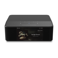 Беспроводной мультирум стример Bluesound Node Icon (N530) black
