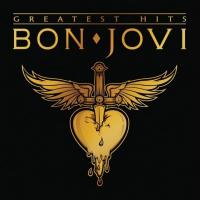 Виниловая пластинка Bon Jovi - Greatest Hits (Black Vinyl 2LP)