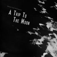 Виниловая пластинка Ghost Funk Orchestra - A Trip To The Moon (BlackVinyl LP)
