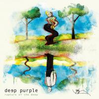 Виниловая пластинка Deep Purple - Rapture Of The Deep  (Black Vinyl 3LP)