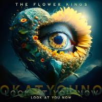Виниловая пластинка The Flower Kings - Look At You Now (Black Vinyl 2LP)