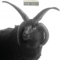 Виниловая пластинка The Cult - The Cult (Black Vinyl 2LP)