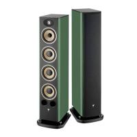 Напольная акустика Focal ARIA EVO X N3 Green High Gloss