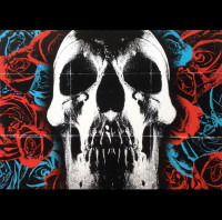 Виниловая пластинка WM Deftones Deftones (180 Gram)