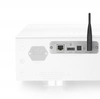 Опциональный стриминговый модуль Dan D’Agostino Pendulum Integrated Amplifier Digital Streaming Module